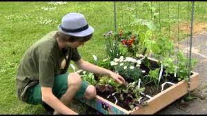moestuin